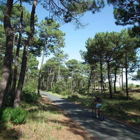 - Maison Mitoyenne Avec Son Jardin Privatif - Au Calme Et Sous Les Pins *