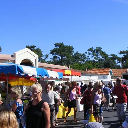 - Maison Mitoyenne Avec Son Jardin Privatif - Au Calme Et Sous Les Pins Villa *