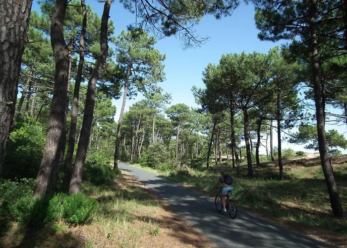 - Maison Mitoyenne Avec Son Jardin Privatif - Au Calme Et Sous Les Pins *