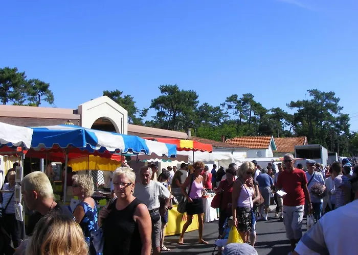 - Maison Mitoyenne Avec Son Jardin Privatif - Au Calme Et Sous Les Pins Villa *